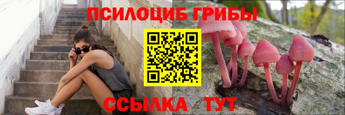 Галлюциногенные грибы Psilocybe  Псилоцибиновые грибы MAGIC MUSHROOMS  Вход с VPN  Алапаевск 